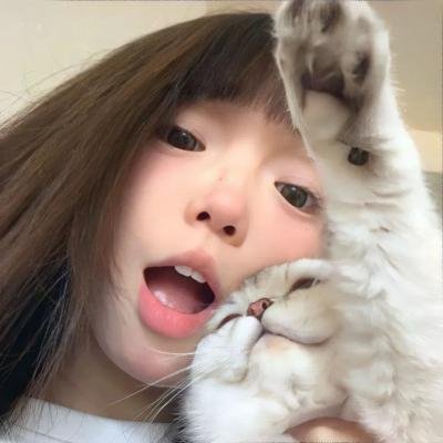 倩狐之京卫怪谈封面