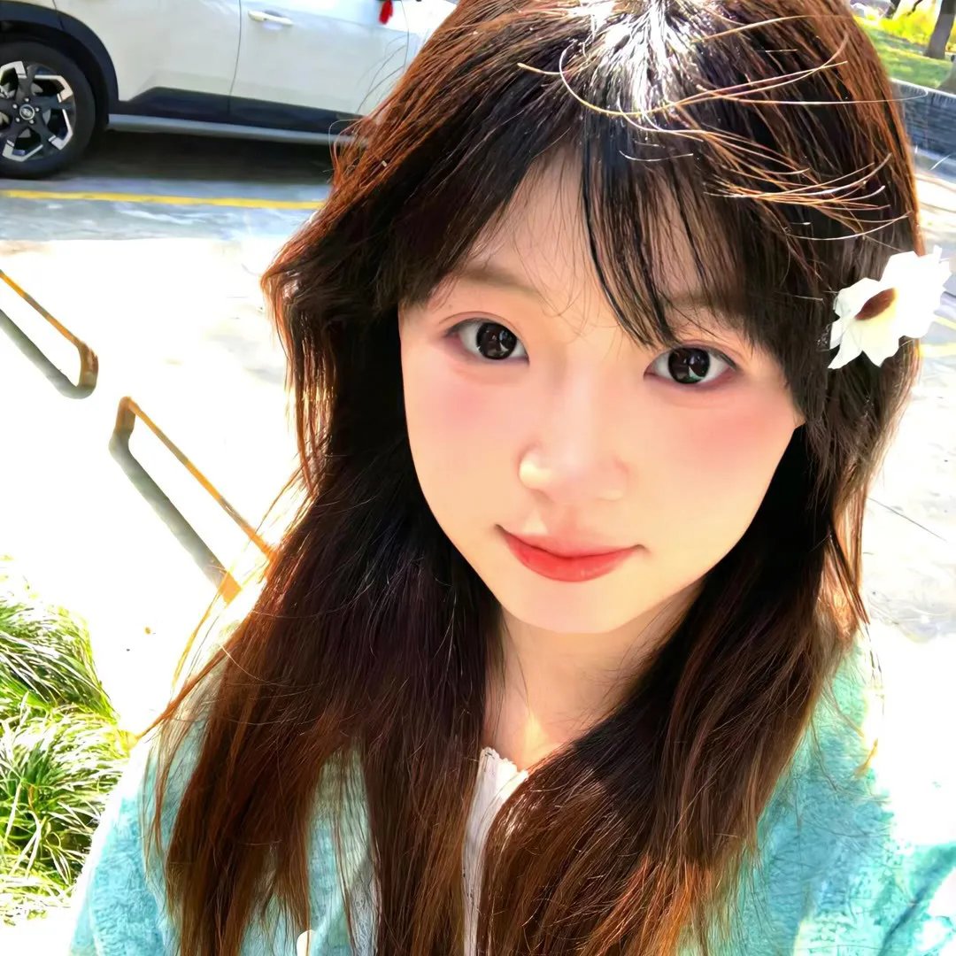 地震鸟封面